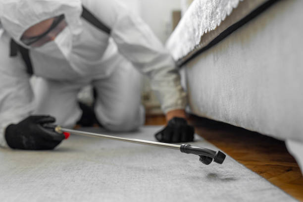 Professional Pest Control technician working in Monroe County County, KY